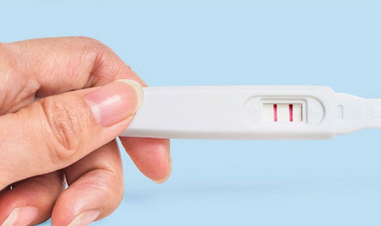 Doença Periondontal pode afetar fertilidade, alerta especialista.