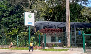 Vocês conhecem o Jardim Botânico de Salvador?