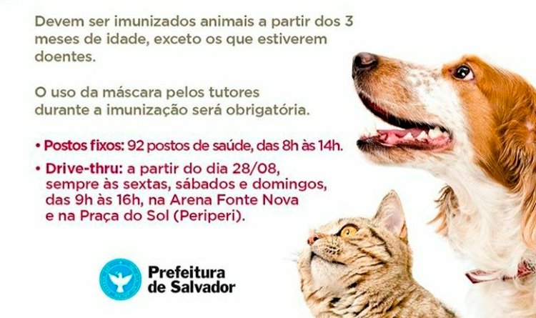 Campanha de vacinação antirrábica para cães e gatos terá sistema drive-thru.