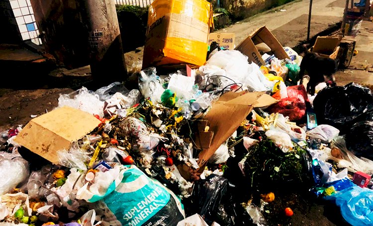 Lixo espalhado pelas ruas de São Marcos, Pau da Lima e Avenida São Rafael: Um problema que afeta a saúde e o visual do bairro.